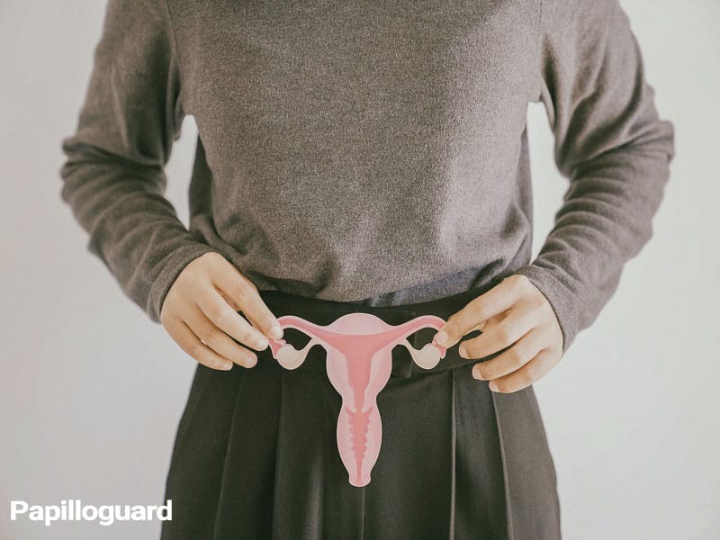 سلول‌های دهانه رحم